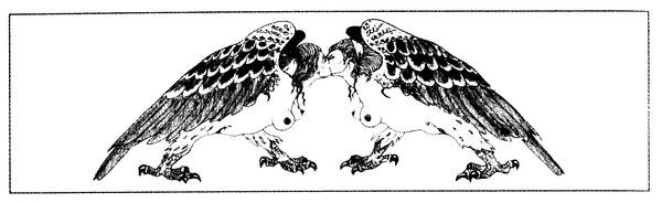 Габриэль Витткоп - Вечный альманах гарпий