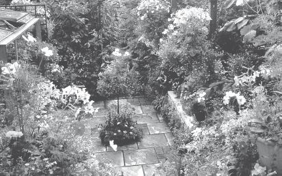 Юрий Харчук - Современный справочник фермера и садовода