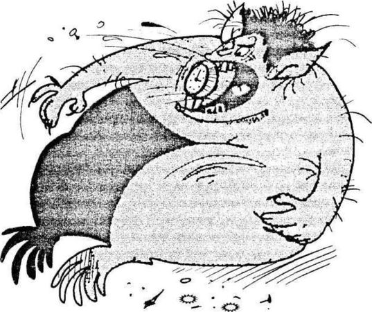 Наталья Еремич - Тайм-менеджмент для женщин. Как все успевать