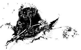 Владимир Леви - Куда жить