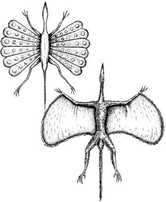 Дугал Диксон - Новые динозавры. Альтернативная эволюция