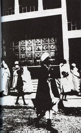 Илья Стогов - Мертвые могут танцевать: Путеводитель на конец света