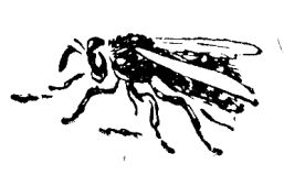 Владимир Арсеньев - Встречи в тайге