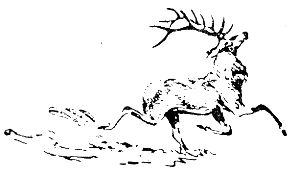 Владимир Арсеньев - Встречи в тайге