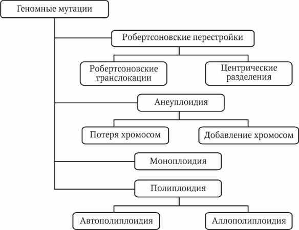 Николай Курчанов - Генетика человека с основами общей генетики. Руководство для...