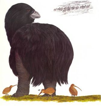 Дугал Диксон - Новые динозавры. Альтернативная эволюция