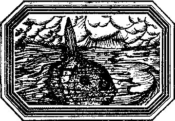 Владимир Короткевич - Чозения
