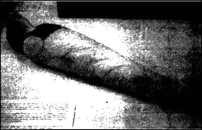 Эрих фон Деникен - Глаза Сфинкса