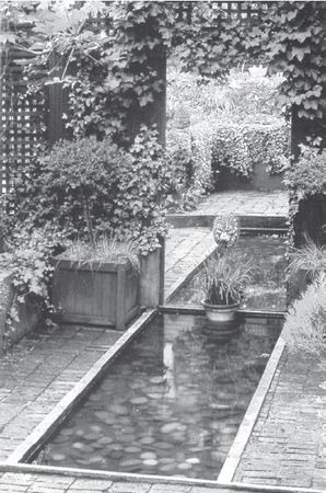 Юрий Харчук - Современный справочник фермера и садовода