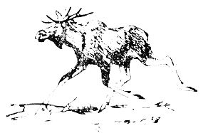 Владимир Арсеньев - Встречи в тайге