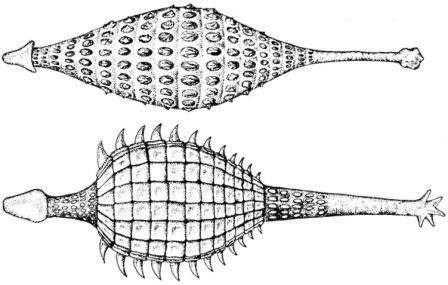 Дугал Диксон - Новые динозавры. Альтернативная эволюция