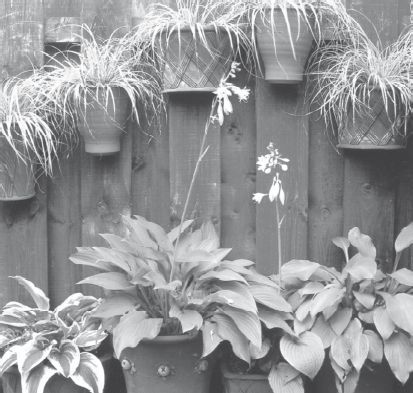 Юрий Харчук - Современный справочник фермера и садовода