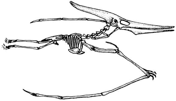 Дугал Диксон - Новые динозавры. Альтернативная эволюция