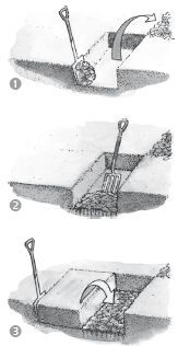 Юрий Харчук - Современный справочник фермера и садовода