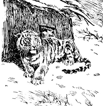 Владимир Арсеньев - Встречи в тайге