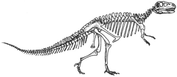 Дугал Диксон - Новые динозавры. Альтернативная эволюция