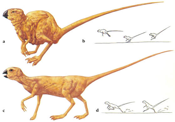 Дугал Диксон - Новые динозавры. Альтернативная эволюция