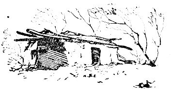 Владимир Арсеньев - Встречи в тайге