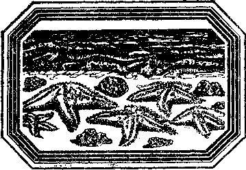 Владимир Короткевич - Чозения