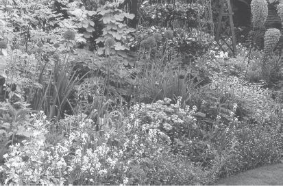 Юрий Харчук - Современный справочник фермера и садовода