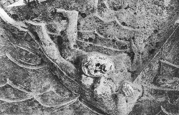 Николай Непомнящий - Люди-феномены