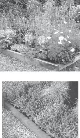 Юрий Харчук - Современный справочник фермера и садовода