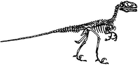Дугал Диксон - Новые динозавры. Альтернативная эволюция