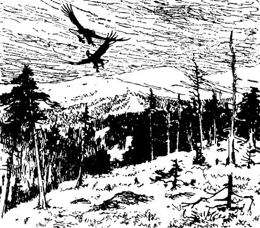 Владимир Арсеньев - Встречи в тайге