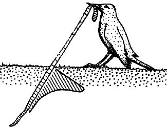 Джеймс Гордон - Конструкции, или почему не ломаются вещи