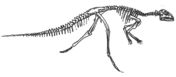 Дугал Диксон - Новые динозавры. Альтернативная эволюция
