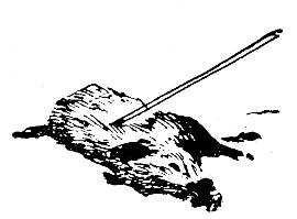 Владимир Арсеньев - Встречи в тайге