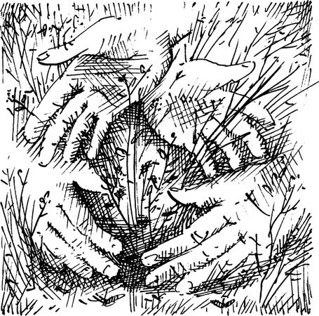 Василий Вахтеров, Константин Сумнительный и др. - О новой педагогике. Избранное