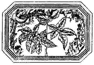 Владимир Короткевич - Чозения