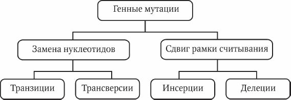Николай Курчанов - Генетика человека с основами общей генетики. Руководство для...