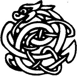 Николай Бахрошин - Черный огонь. Славяне против варягов и черных волхвов