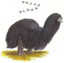 Дугал Диксон - Новые динозавры. Альтернативная эволюция