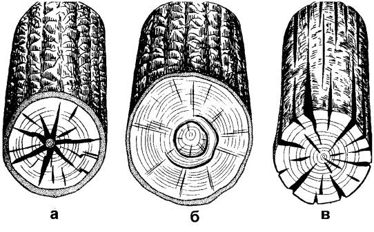 Татьяна Дорошенко - Бани и сауны