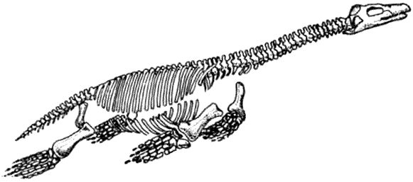 Дугал Диксон - Новые динозавры. Альтернативная эволюция