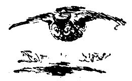 Владимир Арсеньев - Встречи в тайге