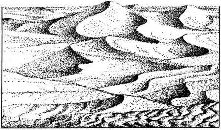 Дугал Диксон - Новые динозавры. Альтернативная эволюция