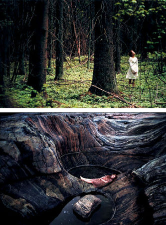 Беверли Корт, Александр Копытин - Техники ландшафтной арт-терапии