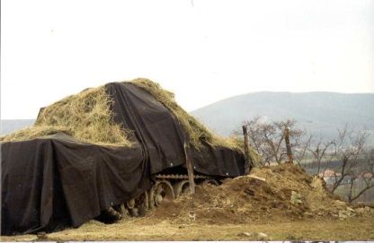 Михаил Поликарпов - Сербский закат