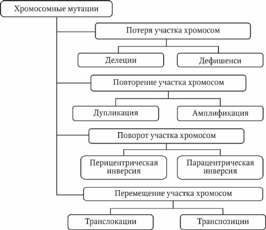 Николай Курчанов - Генетика человека с основами общей генетики. Руководство для...