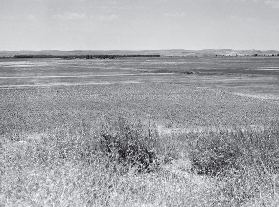 Валерий Гуляев - Шумер. Вавилон. Ассирия: 5000 лет истории