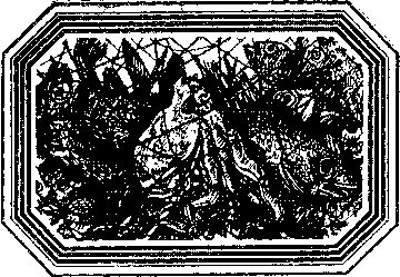 Владимир Короткевич - Чозения