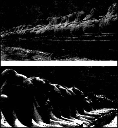 Эрих фон Деникен - Глаза Сфинкса