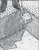 Юрий Харчук - Современный справочник фермера и садовода