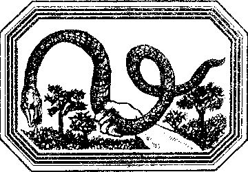 Владимир Короткевич - Чозения