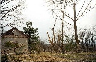 Михаил Поликарпов - Сербский закат