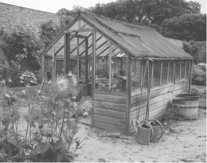 Юрий Харчук - Современный справочник фермера и садовода